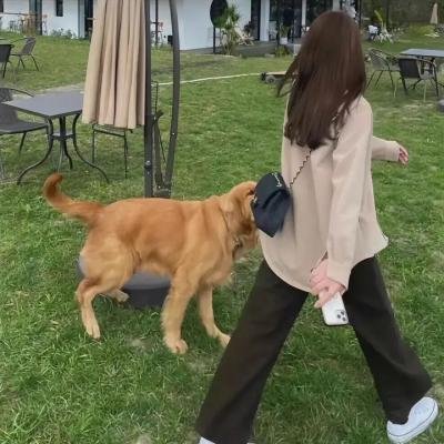 金牌红娘